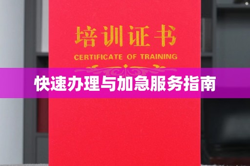 义县快速办理与加急服务指南