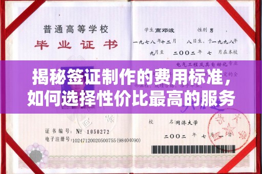义县揭秘签证制作的费用标准，如何选择性价比最高的服务？